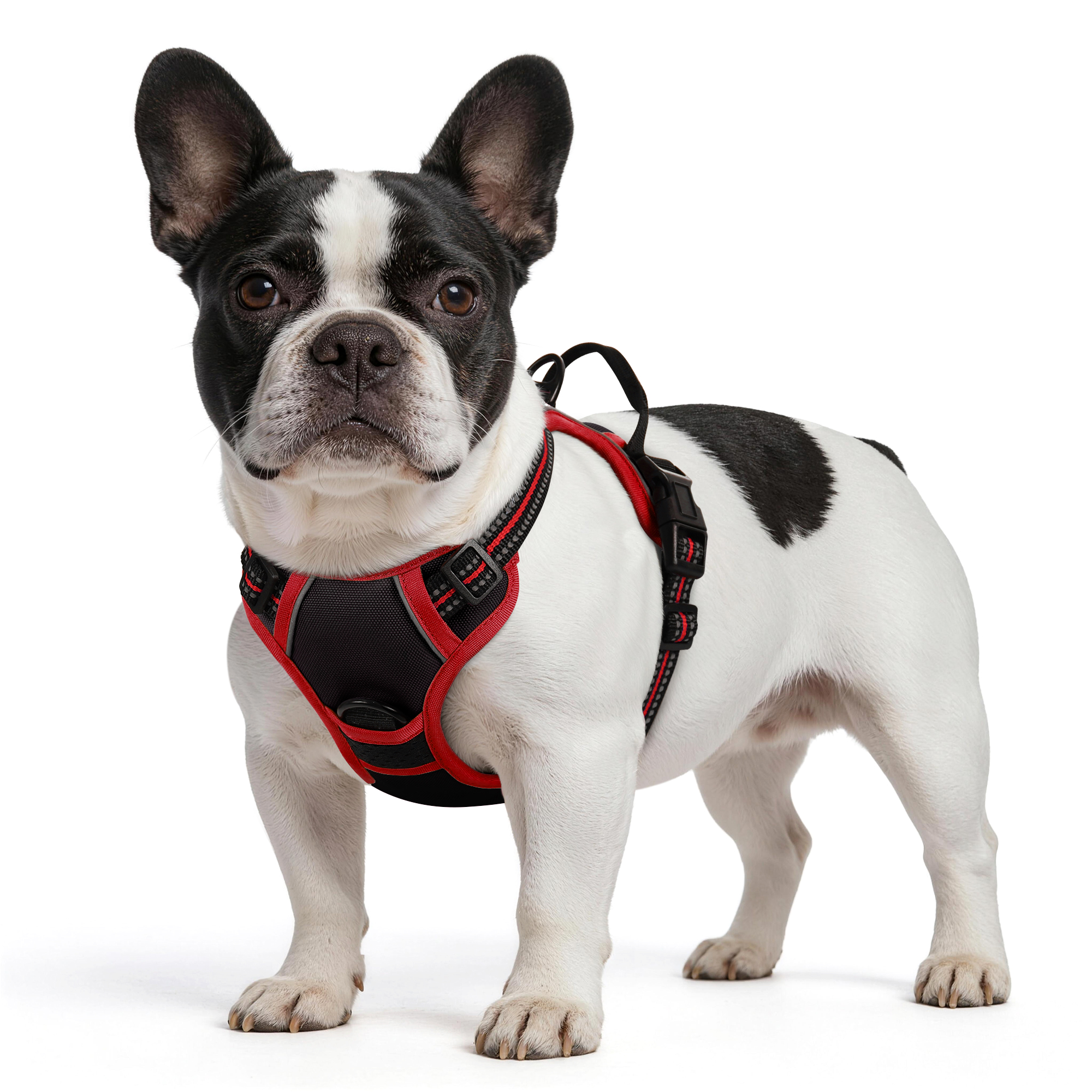 Pigo No-Pull Dog Harness, XS, Black & Red with Handle photo 1