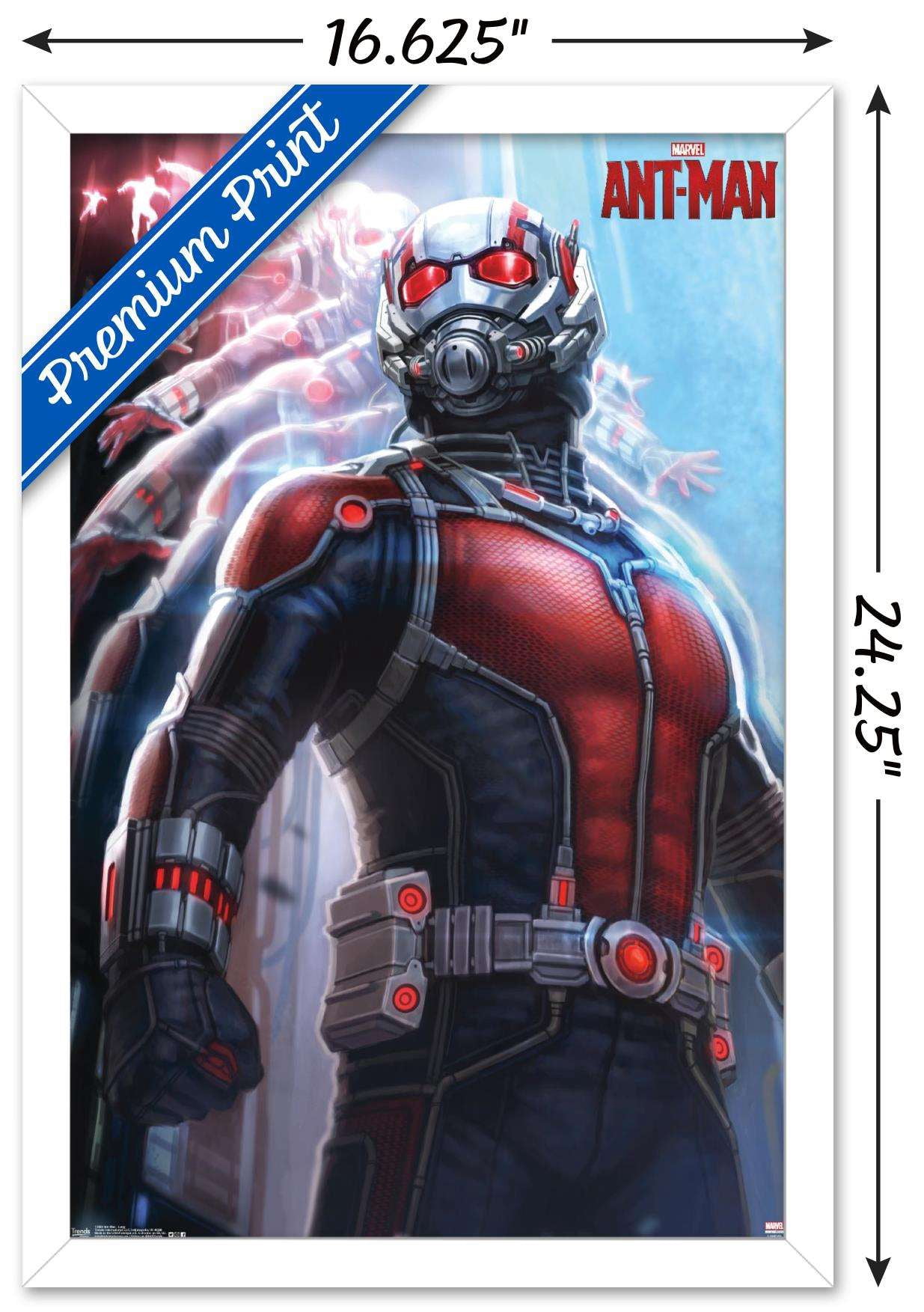 Marvel Cinematic Universe - Ant-Man - Lang Wall Poster, 14.725" x 22.375", Framed