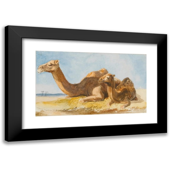 Thomas Hartley Cromek 14x10 Black Modern Framed Museum Art Print Titled - Two Camels (1834)