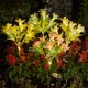 thumbnail image 1 of Lámpara De Pie De Jardín De Plástico 7 Luces Solares De Simulación De Flores Con 42 Led Blancos Cálidos, Impermeables, Para Jardín, Decoración De Patio, Color Azul, 73cm (1 Unidad) Rkxzt, 1 of 8