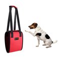 thumbnail image 2 of Arnés De Soporte De Cinturón Auxiliar Para Mascotas Para Mascotas Mayores Y Enfermas M Rojo Sunnimix Cinturón auxiliar de PET, 2 of 8