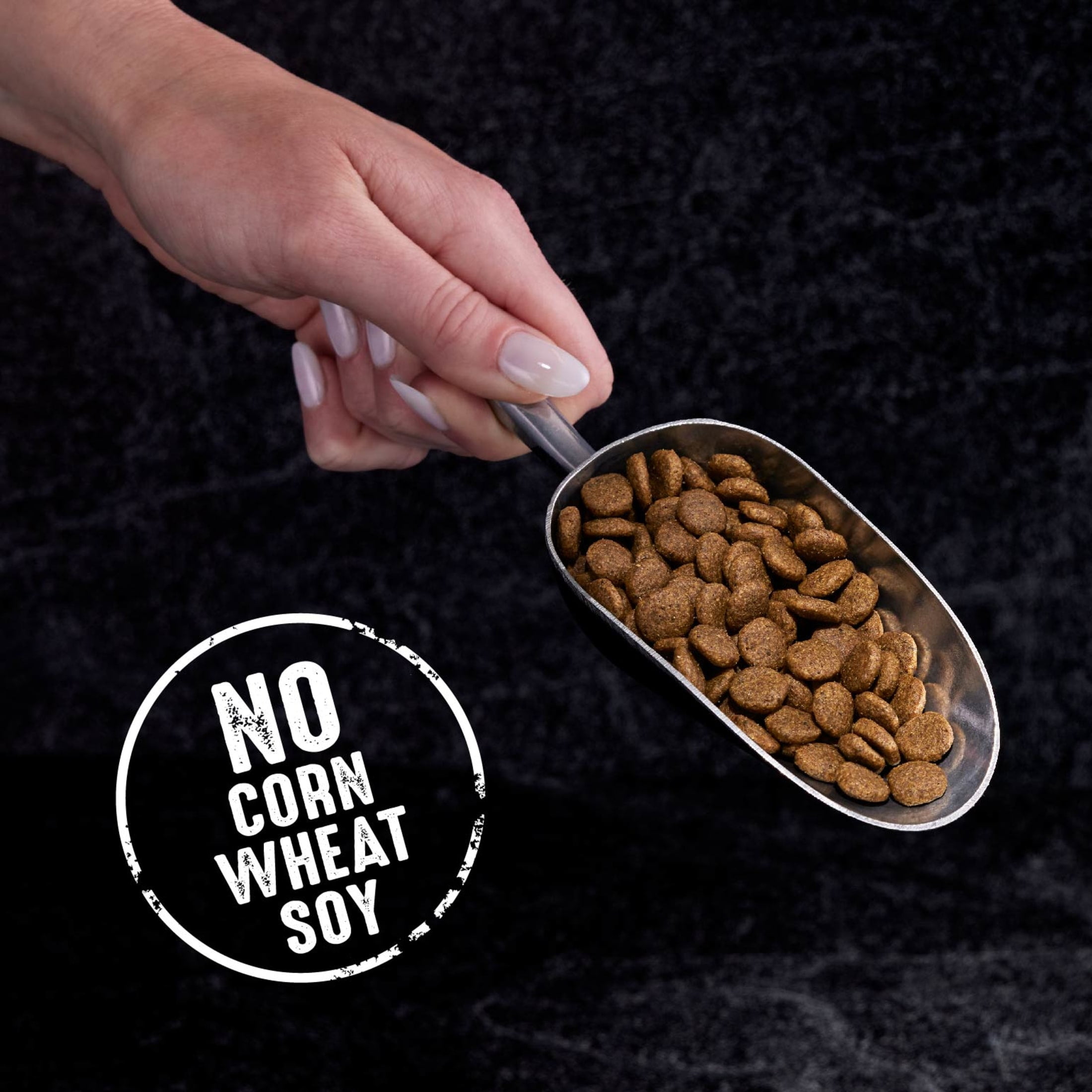 crave cat food dry