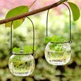 thumbnail image 4 of 2PCS Hanging Glass Vase Creative Lovely Plant Terrarium Hanging Terrarium, 4 of 8
