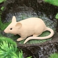 thumbnail image 5 of 2 Mouse Figures Cake Topper Wild Animal Model Educational Toy for Kids Party, 5 of 9