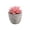 A, variant on huayou Mini Frosted Pink Rosette Artificial Succulent Potted Plant with Gray Cement Pot, Faux Tabletop Greenery for Living Room Office Desktop Decoration