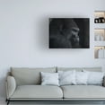 thumbnail image 2 of Trademark Fine Art Helena GARCIA HUERTAS Gorilla Gaze Canvas Wall Art, 2 of 4