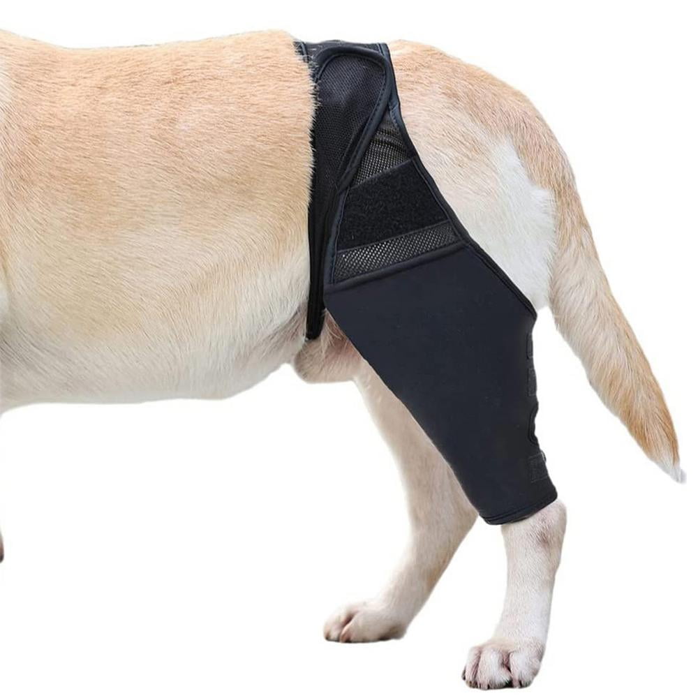 Hip Brace For Dogs Back Leg Support For Dogs Dog Knee Brace For ACL Knee Cap Dislocation Keeps