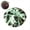 C, variant on Sress Ball Squishy, Crunchy Snowball Sound Sensory Fidget for Stress Relief,Soft Squeeze Gel Stress Ball,Quiet Stimming Tool for Adult Anxiety Fun and Desk Relaxation