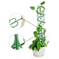 thumbnail image 4 of Mr. Garden Garden Trellis For Mini Climbing Plant Pot Support Leaf Trellis 4"W x 11.7"H 9 Pack Green, 4 of 6