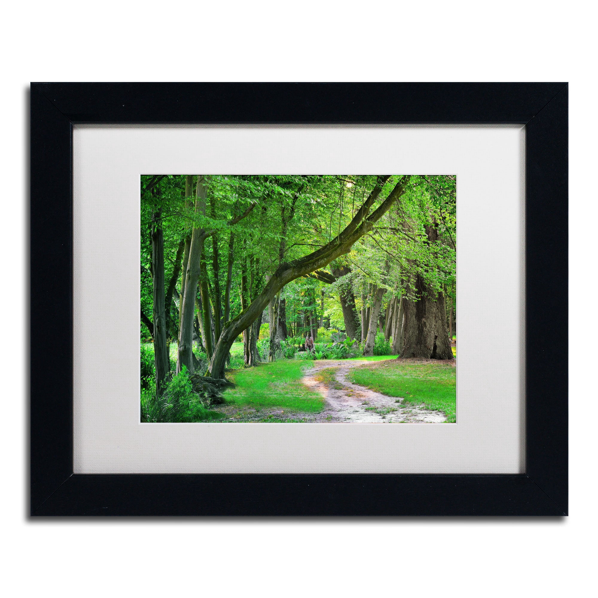 Trademark Fine Art "Intimate Landscape" Canvas Art by Philippe Sainte-Laudy, White Matte, Wood Frame