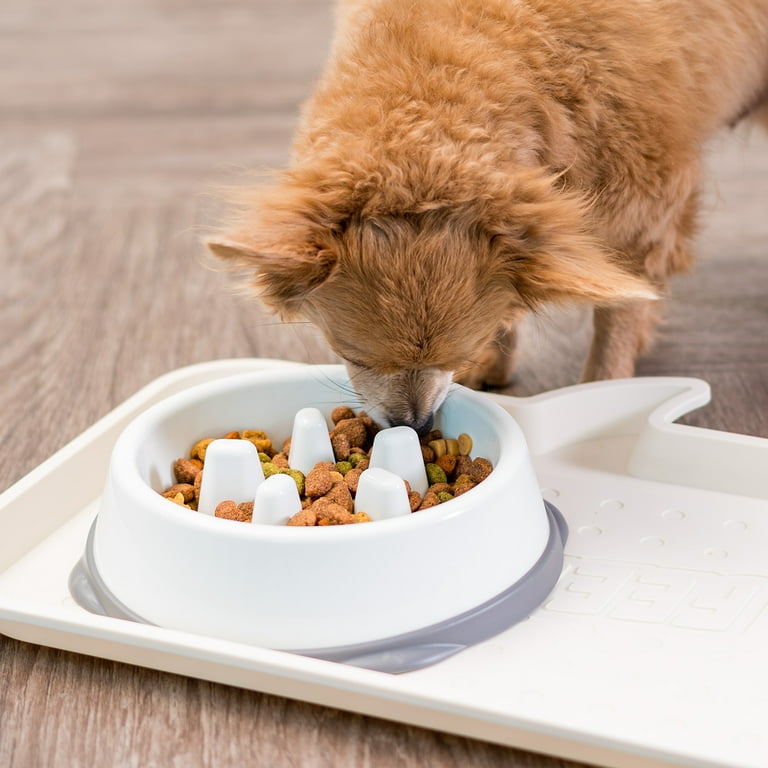 Iris USA Large Slow Feeding Bowl for Long Snouted Pets, White/Beige