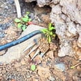 thumbnail image 4 of Mechanic Set, Hoe Weeding Artifact Tools Garden Hoe Rake Steel Farm Tools Small Hoe Loosen The Soil Wild Vegetables, Trim Tool, 4 of 6