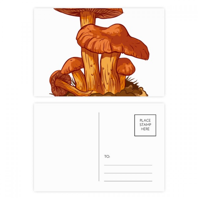 Cute Orange Mushroom Creature Illustration Postcard Set Birthday Mailing Thanks Greeting Card