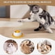 thumbnail image 5 of Dog Licking Toy - Slow Feeder Treat Dispenser for Puppy Training, Enrichment with Food Dispenser, Food Crate Accessory, 5 of 5
