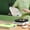 Light Green, variant on Partheme 2-Layer Frozen Dumpling Storage with Lids & Timing , Flat Stacks Food Container Icing Cookies Deserts Wonton Donuts Box Organizer for Fridge, Orange
