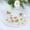 Clear/Gold, variant on Efavormart Set of 20 White Gold Butterfly Round Plastic Plates, Disposable Dinner and Salad Plates with Gold Rim - 10",7"