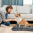 thumbnail image 5 of Precious Tails Co-Pilot Waterproof Dog Bed, Grey, Large, 36"L x 27"W x 5.5"H, 5 of 7