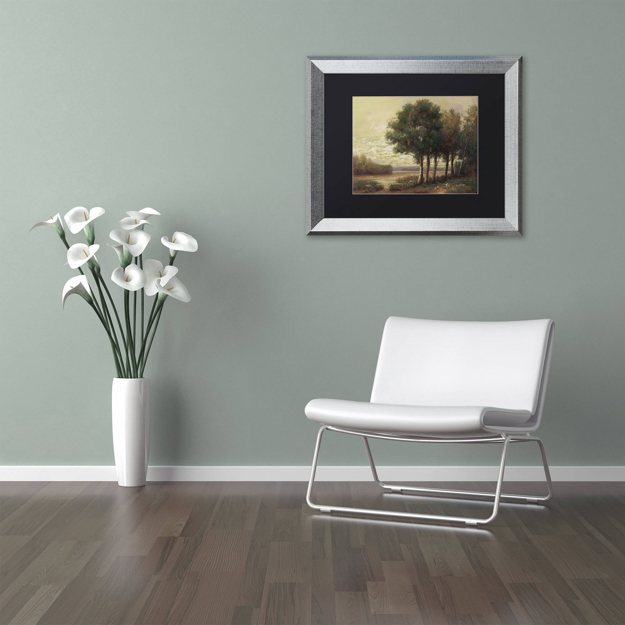 Trademark Fine Art "Tranquility" Canvas Art by Daniel Moises, Black Matte, Silver Frame