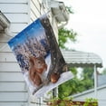 thumbnail image 3 of America Forever Winter Fall Squirrel House Flag Double Sided Vertical 28 x 40 inches for Outdoor, Yard, Porch Happy Holidays Welcome Winter Squirrel and Nuts Decorations, 3 of 5