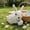 Straw Bunny Under $5 a4, variant on Yannianjz Straw Bunny Figurines, Easter Straw Statues for Garden Decor, Natural Woven Rabbit Tabletop Ornament, Farmhouse Spring Decor, Handmade Craft for Home