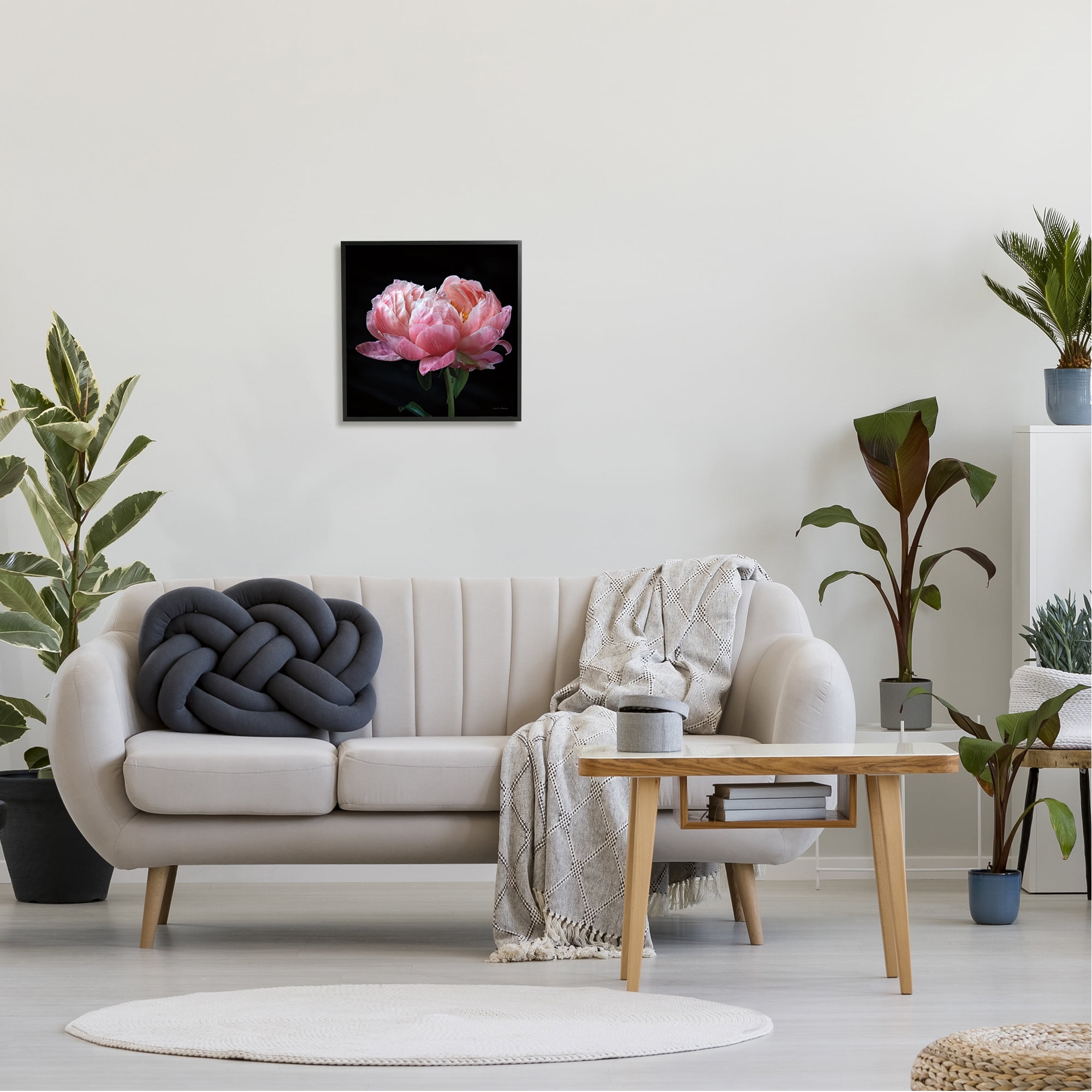 Stupell Industries Blooming Rose on Black Botanical & Floral Photography Black Framed Art Print Wall Art, 17 x 17