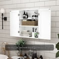 HLR Wall-Mounted Bathroom Storage Cabinet, Wall-Mounted with Double Door,Adjustable Shelves ...