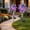colorful, variant on Sparkly Pinwheels for Yard and Garden,Reflective Colorful Wind Spinners Yard Decorations Outdoor Windmill,27 In Garden Pinwheels to Scare Birds