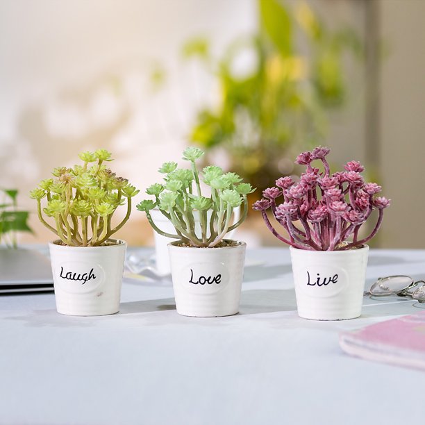 3Pcs Assorted Artificial Succulent Cactus Echeveria Plants Unpotted