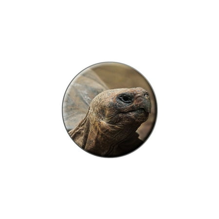Turtle Pin - Tortoise - Turtle Lapel Hat Pin Tie Tack Small Round