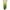 Green 2, variant on Yuzhih Sweatpants for Women Gradient Cinch Bottom Workout Joggers with Pockets High Waist Athletic Trousers