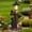 Black + Resin + Art Deco, variant on A brown bear statue welcoming guests, a garden statue with solar-powered lights, a 19-inch resin bear family in a tree, and outdoor bear decorations for courtyards, gardens, lawns, and patios.