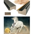 thumbnail image 5 of DECORARTS - Prancer in the Sand Wild Animal Wall Art. Giclee Prints on Acid Free Cotton Canvas Matching with Solid Wood Frames. Total Size w/Frame: 32.6x22.6", Ready to Hang., 5 of 6