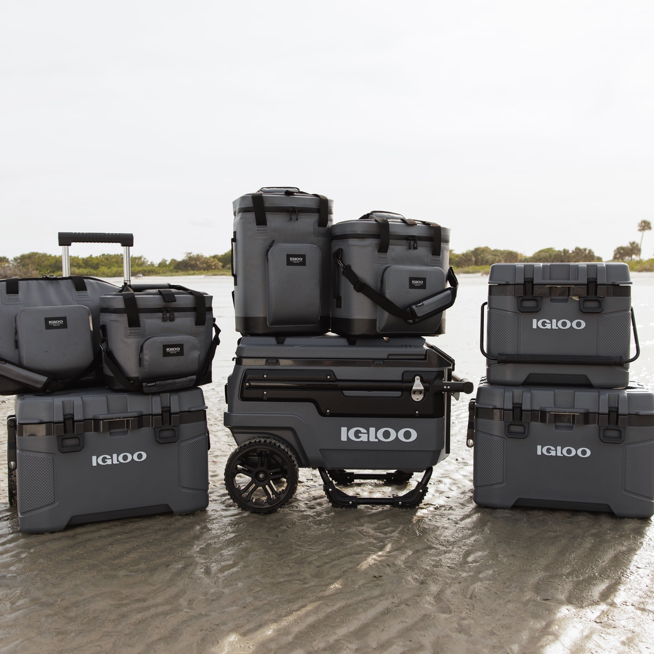 Igloo Trailmate 24-Can Tote Cooler Bag