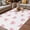 Light Pink, variant on Valentine's Day Outdoor Rug for Patio/Deck/Porch, Non-Slip Large Area Rug 4 x 6 Ft, Pink Bows Shining Stars Modern Black Indoor Outdoor Rugs Washable Area Rugs, Reversible Camping Rug Carpet Runner