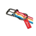 thumbnail image 4 of Joules Rainbow Striped Dog Collar, 4 of 6