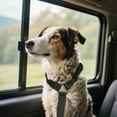 thumbnail image 5 of Riforla Car Pet Belt Dog Car Leash Cute Pet Car Adjustable Rope Rope Leashes Green 80cm, 5 of 5