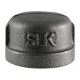 thumbnail image 1 of LDR 4715785 Pipe Decor 0.37 in. FIP Black Malleable Iron Cap, 1 of 1