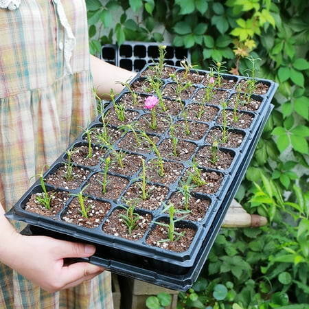 

Dream Lifestyle Seed Starter Kit Seedling Trays Gardening Germination Plastic Tray Nursery Pots Mini Propagator Plant Grow Kit Plug Tray Starting Trays