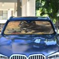thumbnail image 5 of Foldable Car Windshield Sunshade UV Sun Visor Protector Blocks UV Rays Keeps Vehicle Cool 53x23.5 Inch Gray Wolf and Rabbit, 5 of 8