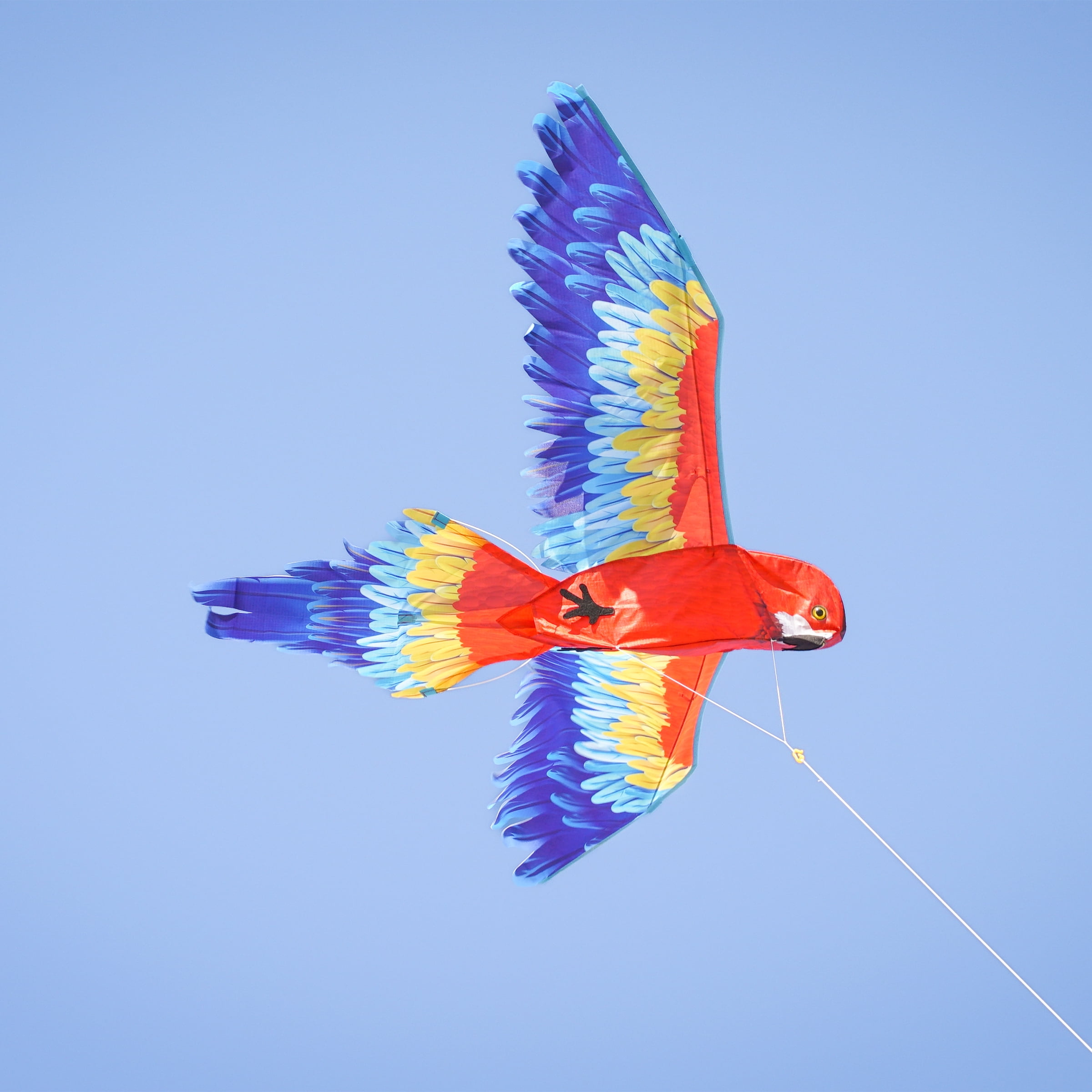 In the Breeze 3381 — 3D Parrot Kite — Colorful-Printed Bird Kite with Applique Details, Kite Line and Reusable Bag Included