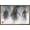 Bronze Framed Version, variant on Disney Pirates of the Caribbean: At World's End - Group Wall Poster, 14.725" x 22.375"