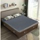 thumbnail image 1 of Manta eléctrica de doble Control para el hogar, alfombrilla de cama de calefacción suave para el cuerpo, calentador corporal de invierno, 1 of 4