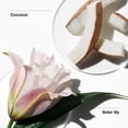 thumbnail image 2 of Perfume Clinique Mi feliz lirio de la playa 15 ml, 2 of 5