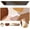 C-Four-Coffee-Color-Block, variant on Desk Mat, Gaming Mouse Pad Wrist Support Set, XXL Large Mousepad + Keyboard Wrist Rest+Mouse Wrist Rest+Coastert with Ergonomic Design for Home Office Computer (C-Four-Coffee-Color-Block)