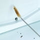 thumbnail image 5 of Billuyoard Cepillo de fregado para refrigerador, removedor de obstrucciones con orificio de drenaje, herramienta de de tuberías de dragado de Suministros de limpieza para el hogar, 5 of 6