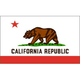 California State Flag 3x5 Ft. Nylon Official State Design ...