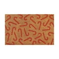 thumbnail image 1 of TIELUTT Christmas Floral Welcome Cane Christmas Tree Light String Deer Door Mat Floor Mat Comfortable Blanket Oversized Throw Blanket for Couch Peach Throw Blanket Blanket for Bed Comfiest Blanket, 1 of 4