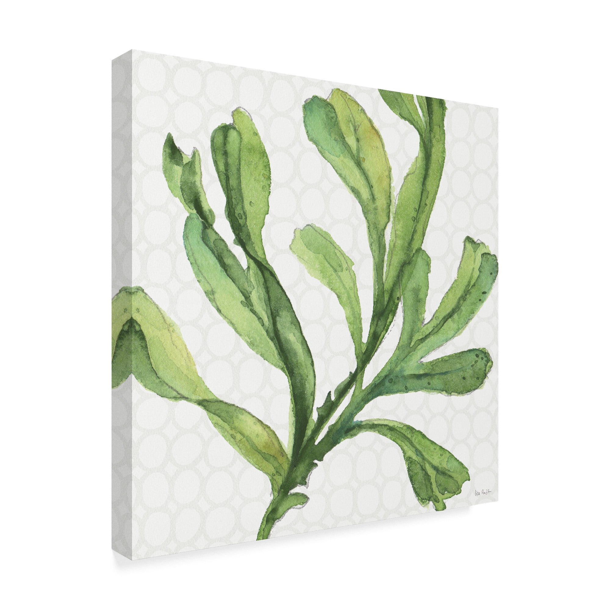Trademark Fine Art 'Mixed Greens XIX' Canvas Art by Lisa Audit