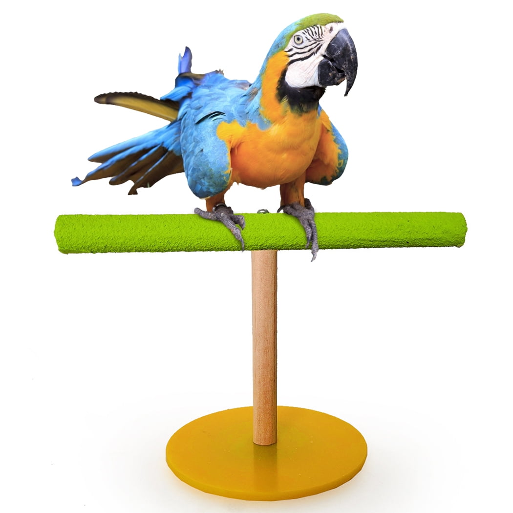 Portable bird stand outlet
