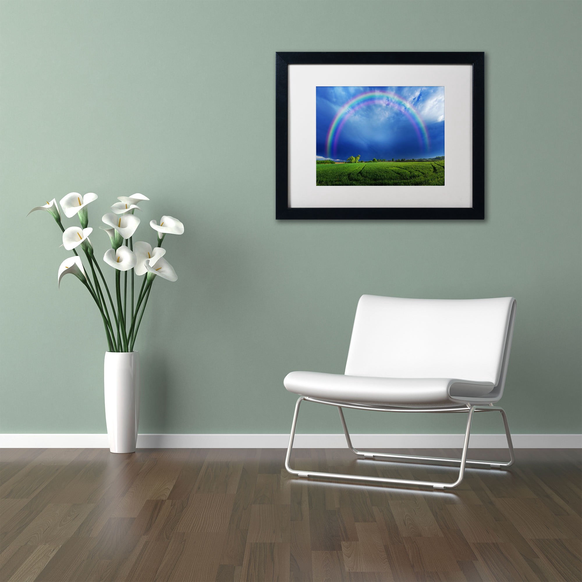 Trademark Fine Art "Lucky Rainbow" Canvas Art by Philippe Sainte-Laudy, White Matte, Black Frame